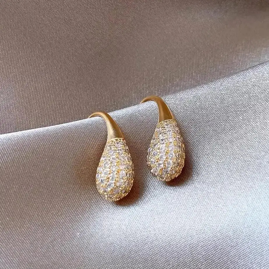 Elegant shiny drop earrings